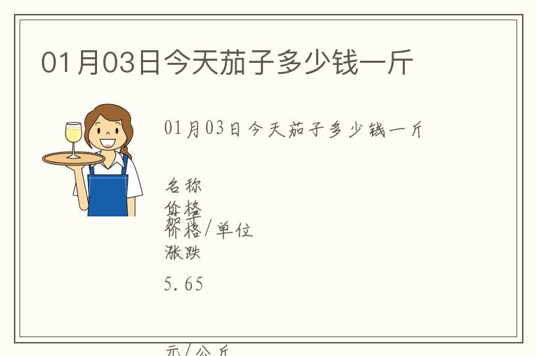 01月03日今天茄子多少錢一斤