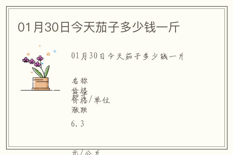 01月30日今天茄子多少錢(qián)一斤