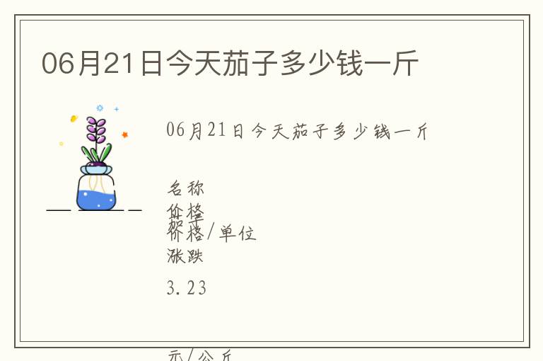 06月21日今天茄子多少錢一斤