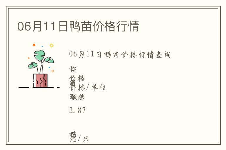 06月11日鴨苗價格行情