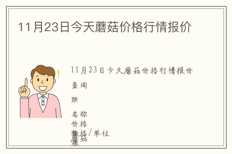 11月23日今天蘑菇價格行情報價