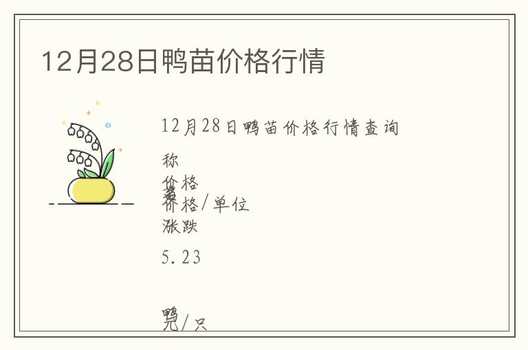 12月28日鴨苗價格行情