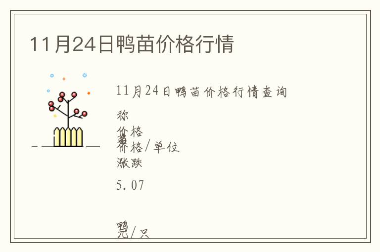 11月24日鴨苗價格行情