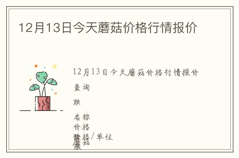12月13日今天蘑菇價(jià)格行情報(bào)價(jià)