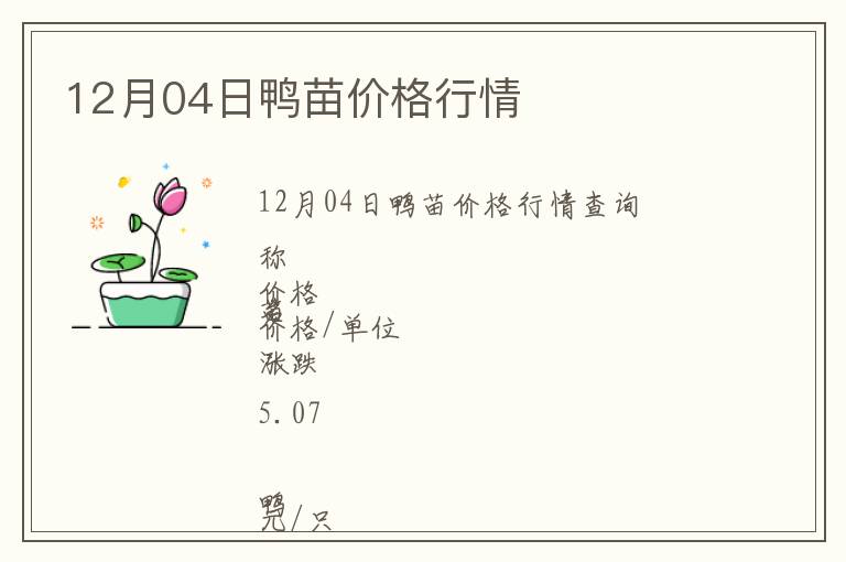 12月04日鴨苗價格行情