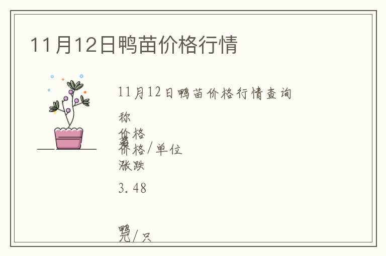 11月12日鴨苗價格行情