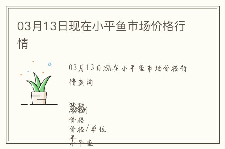 03月13日現在小平魚市場價格行情