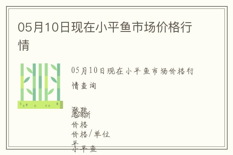 05月10日現在小平魚市場價格行情