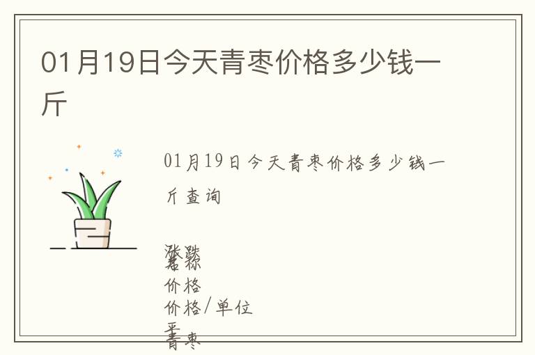01月19日今天青棗價格多少錢一斤