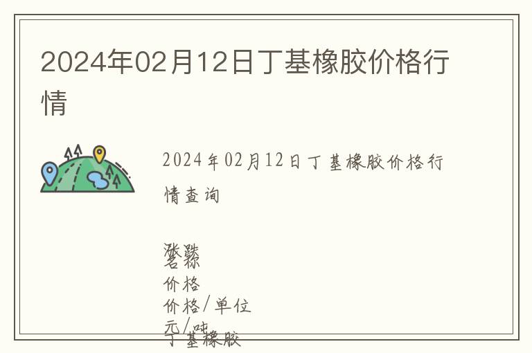 2024年02月12日丁基橡膠價格行情