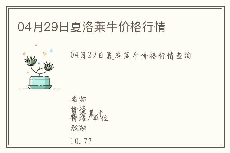 04月29日夏洛萊牛價格行情