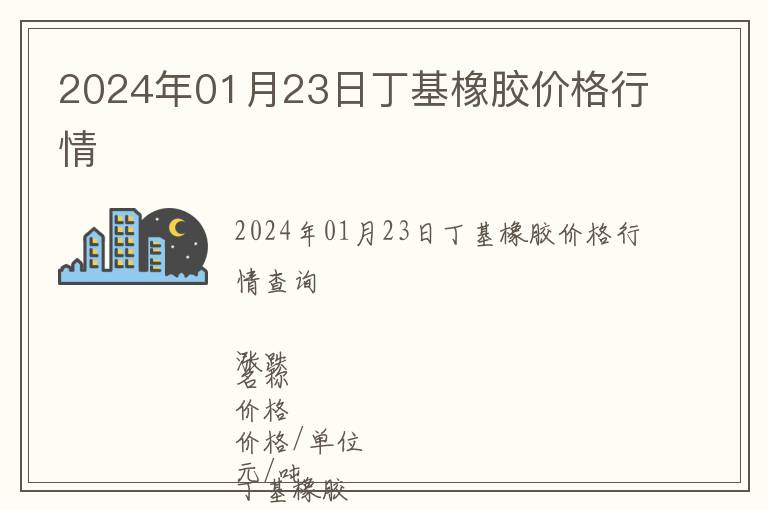 2024年01月23日丁基橡膠價格行情