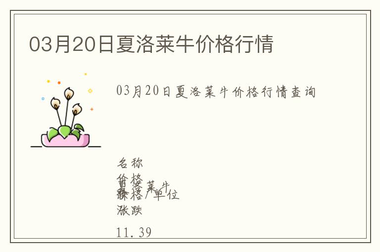 03月20日夏洛萊牛價格行情