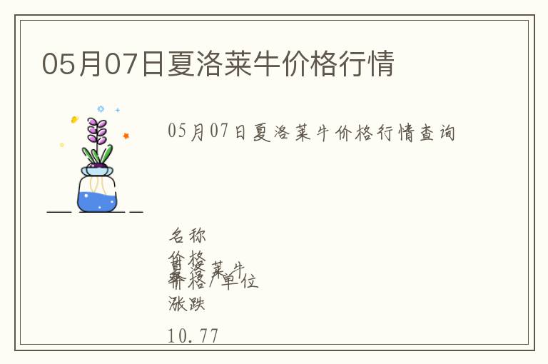 05月07日夏洛萊牛價格行情