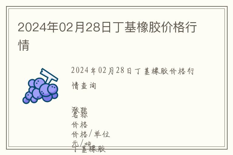 2024年02月28日丁基橡膠價格行情