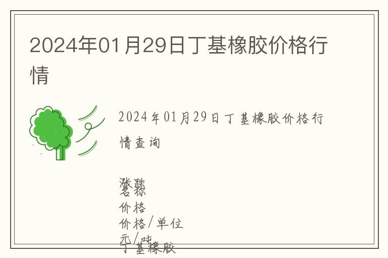 2024年01月29日丁基橡膠價格行情