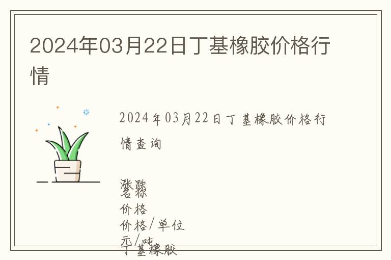 2024年03月22日丁基橡膠價格行情