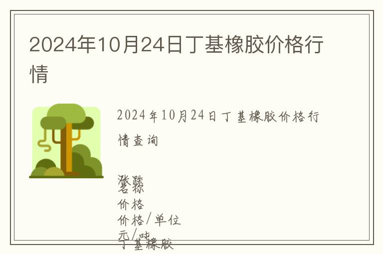 2024年10月24日丁基橡膠價格行情