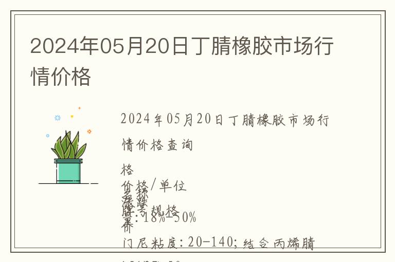 2024年05月20日丁腈橡膠市場行情價格
