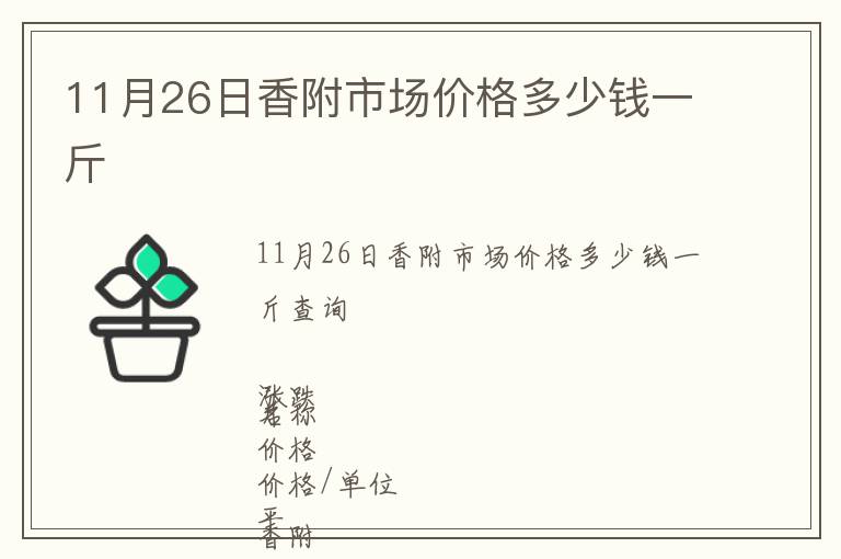 11月26日香附市場價格多少錢一斤