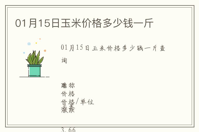 01月15日玉米價(jià)格多少錢一斤