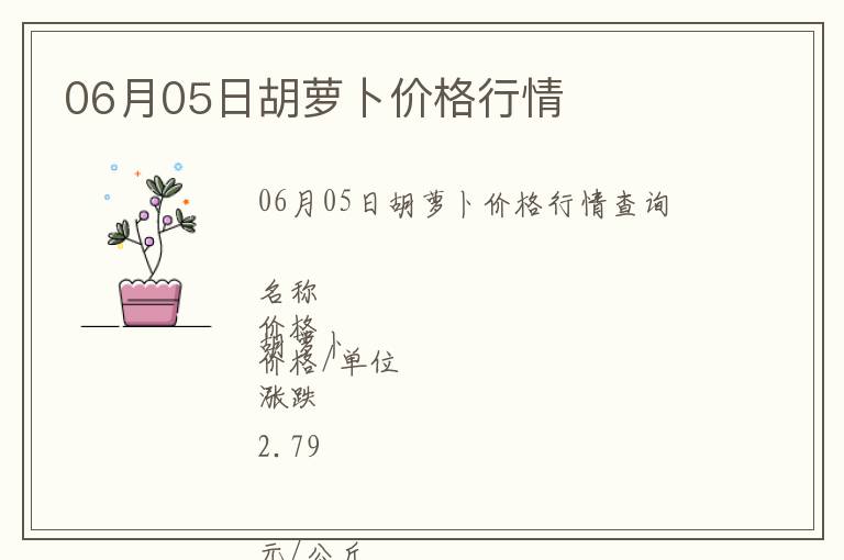 06月05日胡蘿卜價格行情
