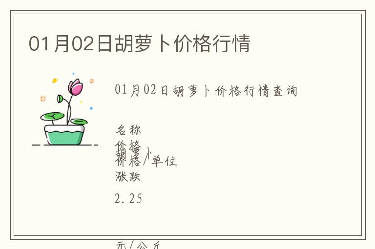 01月02日胡蘿卜價格行情