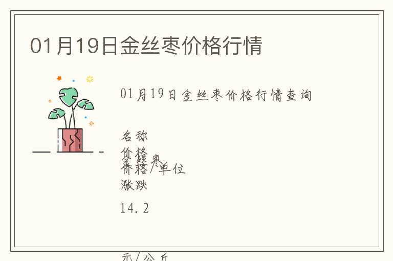 01月19日金絲棗價格行情