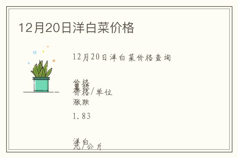 12月20日洋白菜價格