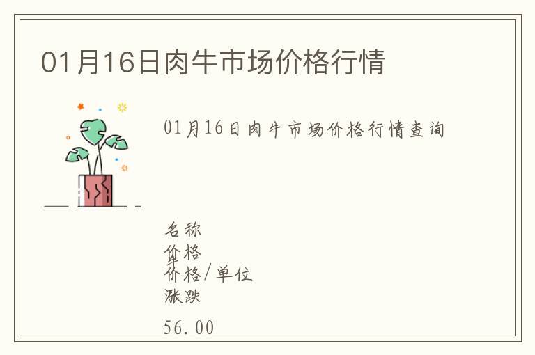 01月16日肉牛市場價格行情