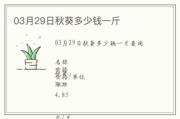 03月29日秋葵多少錢一斤