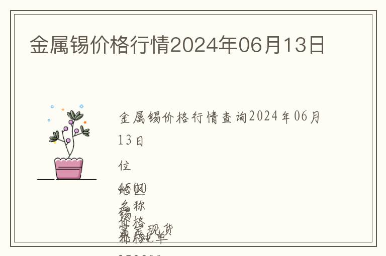 金屬錫價格行情2024年06月13日