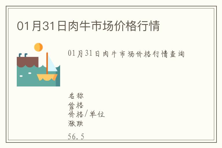 01月31日肉牛市場(chǎng)價(jià)格行情