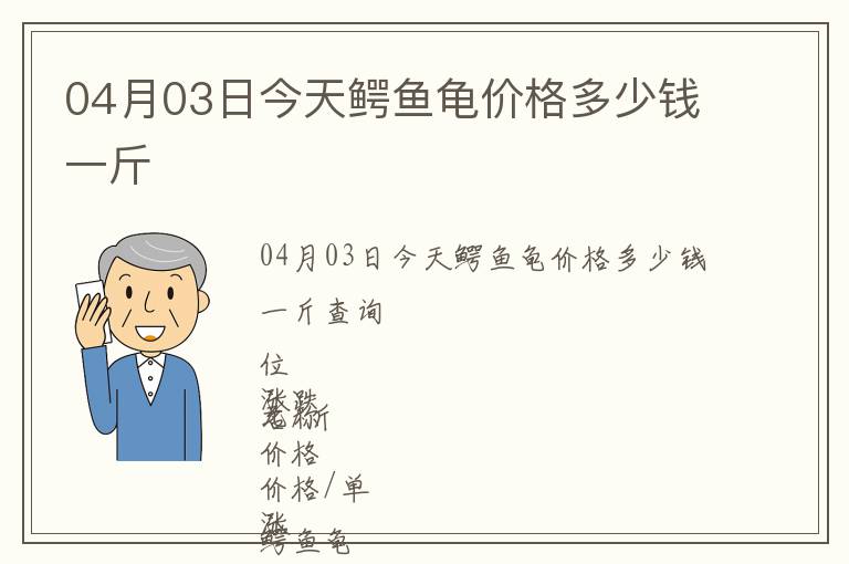 04月03日今天鱷魚(yú)龜價(jià)格多少錢(qián)一斤