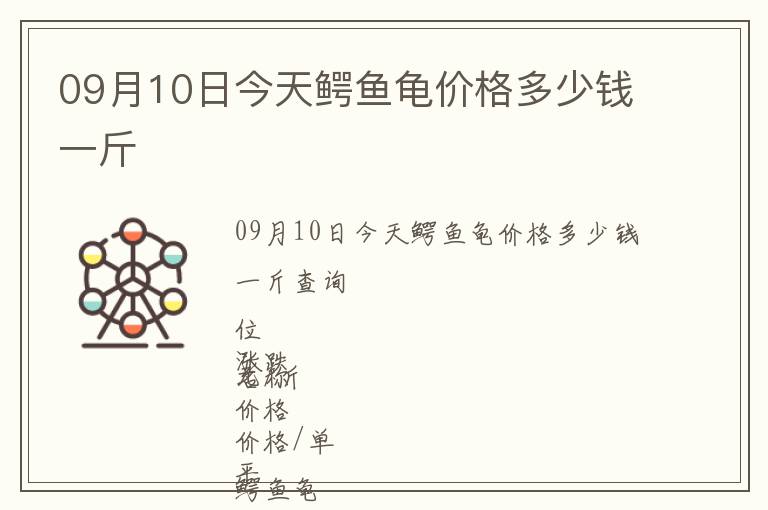 09月10日今天鱷魚龜價格多少錢一斤