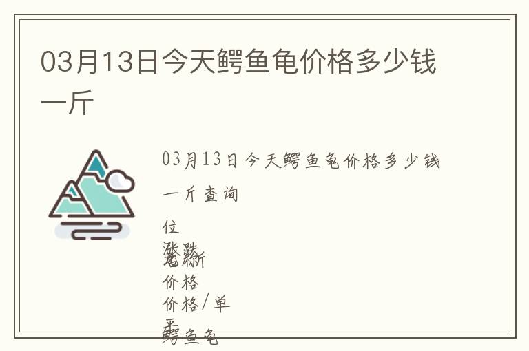 03月13日今天鱷魚龜價(jià)格多少錢一斤