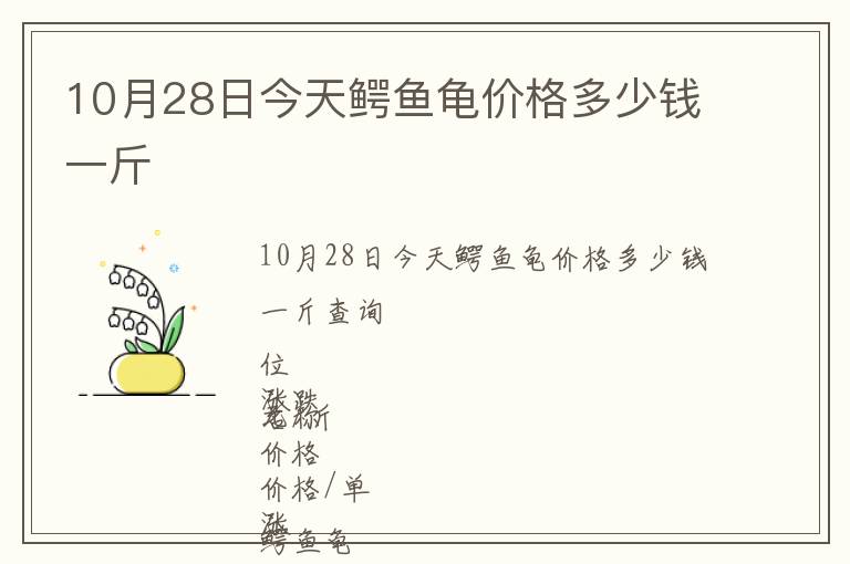 10月28日今天鱷魚龜價格多少錢一斤