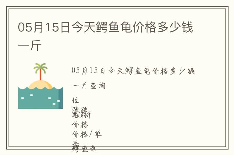05月15日今天鱷魚龜價格多少錢一斤