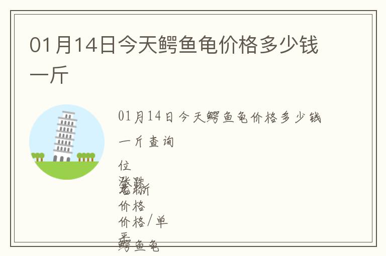 01月14日今天鱷魚龜價格多少錢一斤