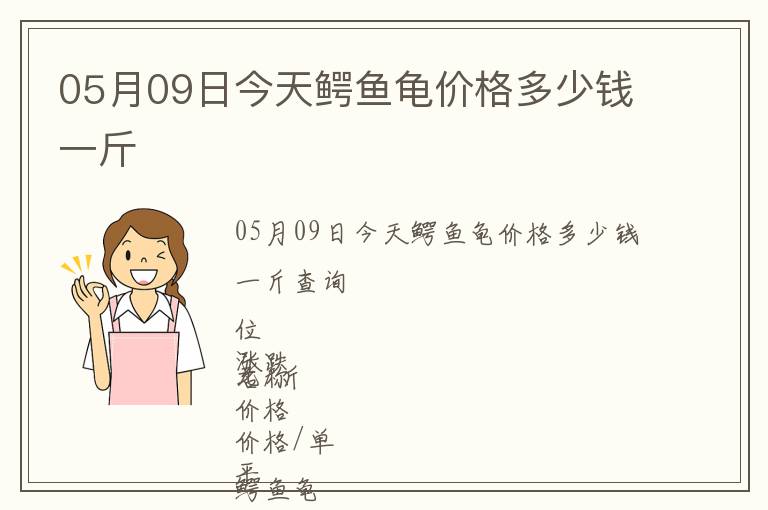 05月09日今天鱷魚龜價格多少錢一斤