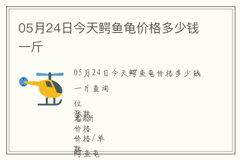 05月24日今天鱷魚龜價格多少錢一斤