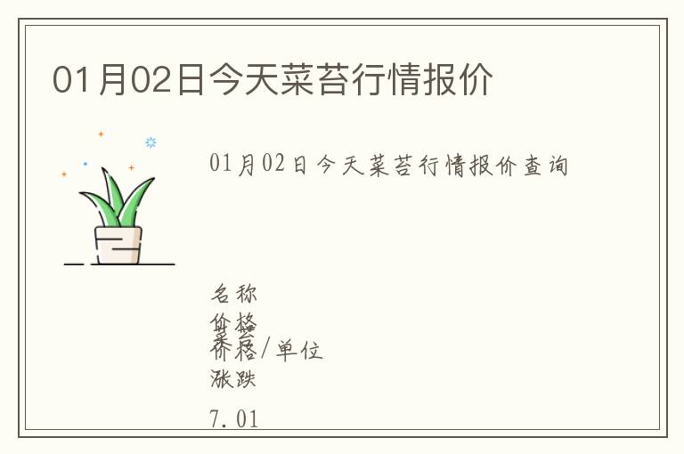01月02日今天菜苔行情報價