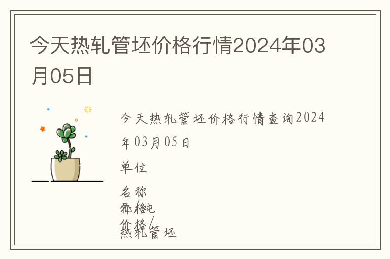 今天熱軋管坯價格行情2024年03月05日