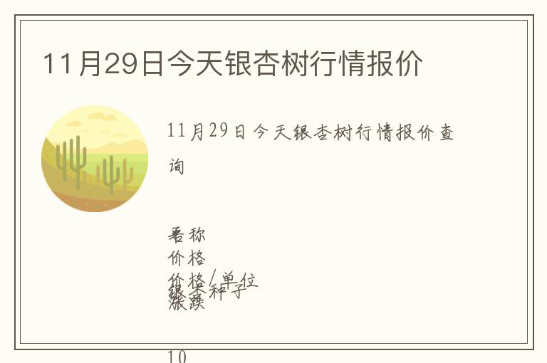 11月29日今天銀杏樹行情報價