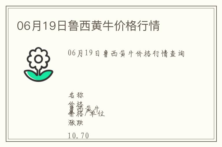 06月19日魯西黃牛價格行情