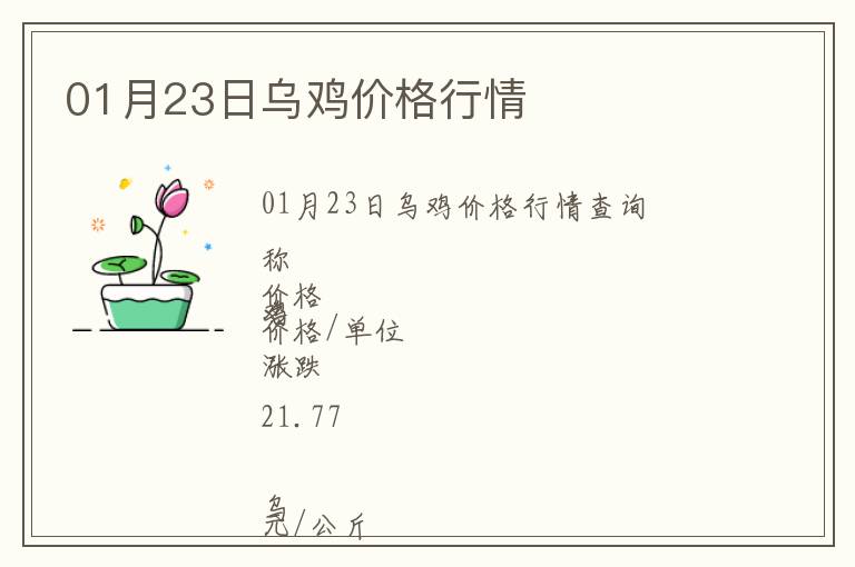 01月23日烏雞價格行情