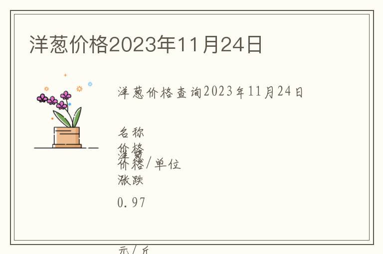 洋蔥價格2023年11月24日