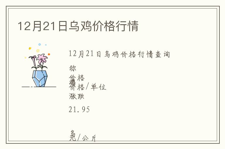 12月21日烏雞價格行情