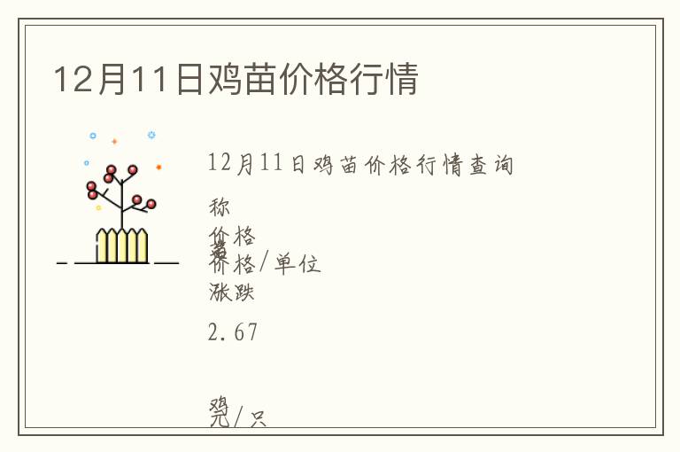 12月11日雞苗價格行情