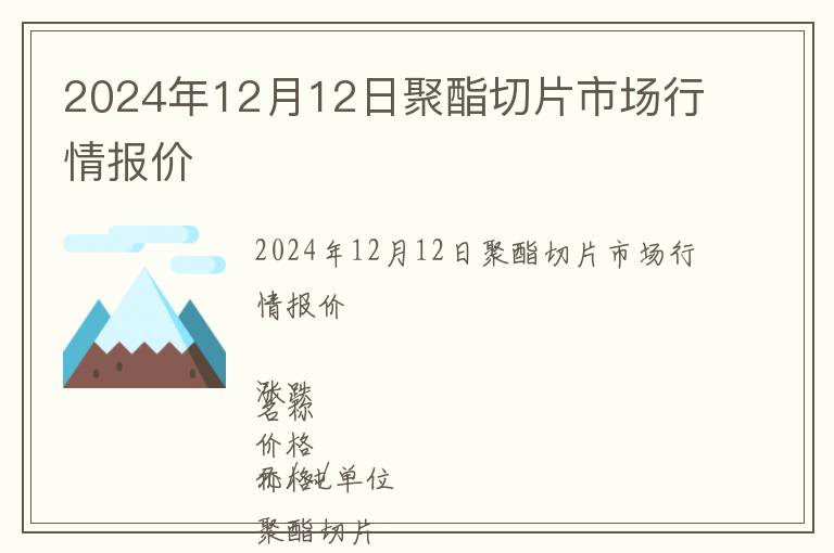 2024年12月12日聚酯切片市場行情報價